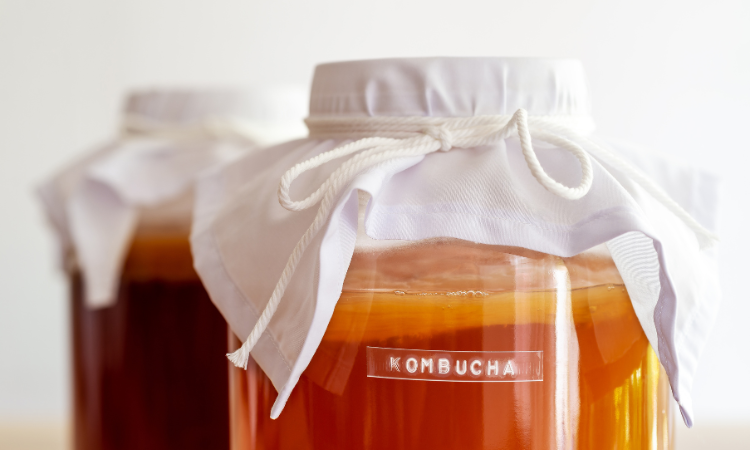 what is kombucha