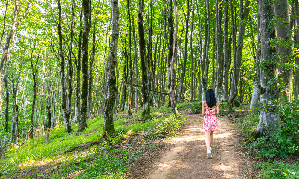 nature and mental health